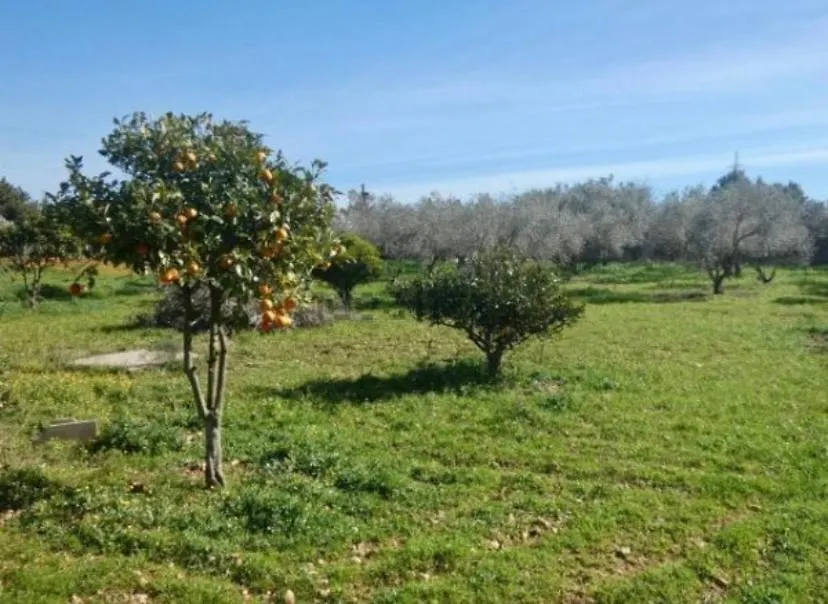 Casa Rural Las Marismas Llucmajor  Llucmajor (Mallorca)