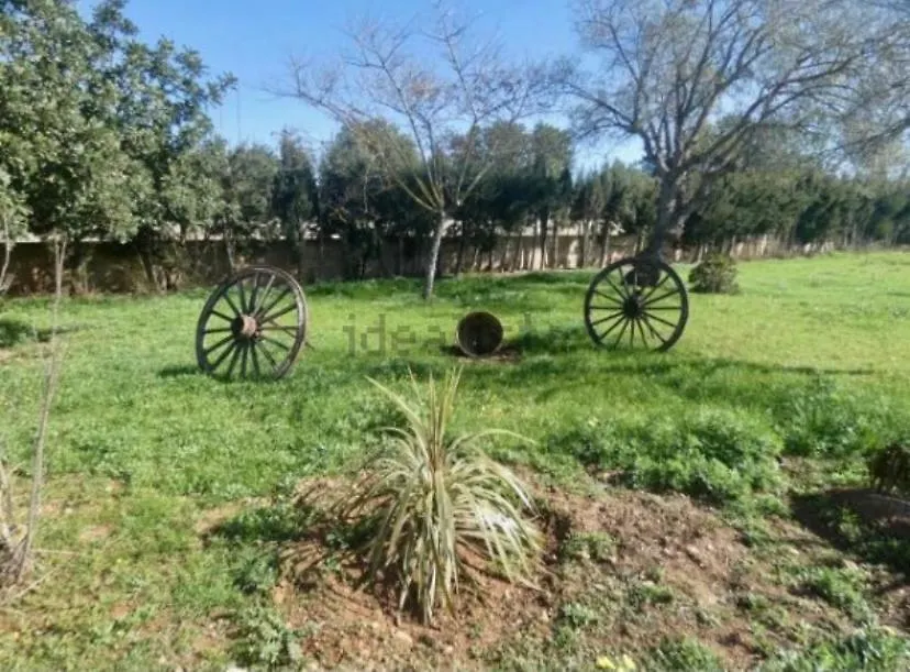 Holiday home Casa Rural Las Marismas Llucmajor  Spain
